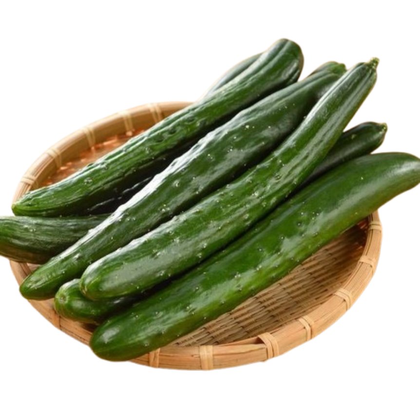 Cucumber