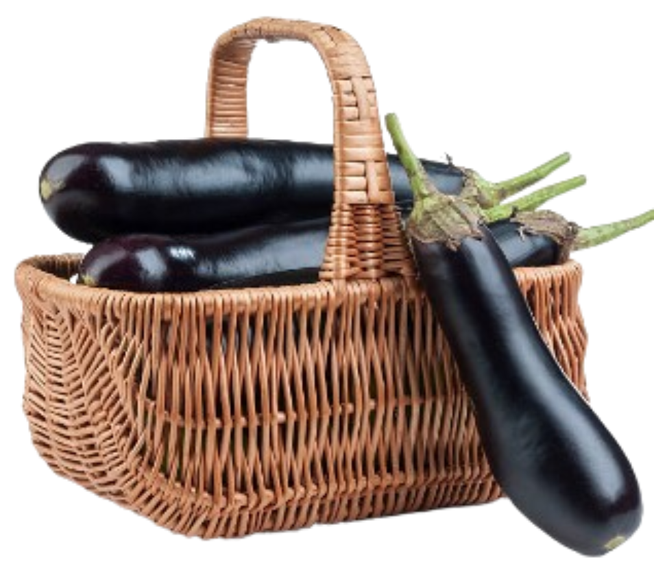 Eggplant